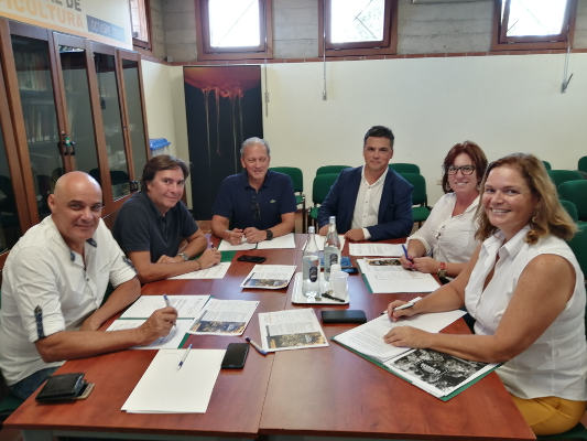 tenerife concurso mieles 2019