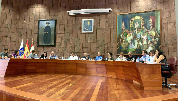 La Gomera Pleno del Cabildo 2019