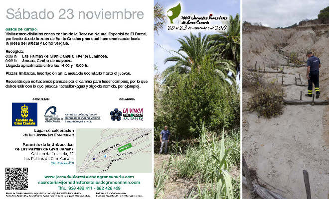 gcanaria jornadas forestales 2019