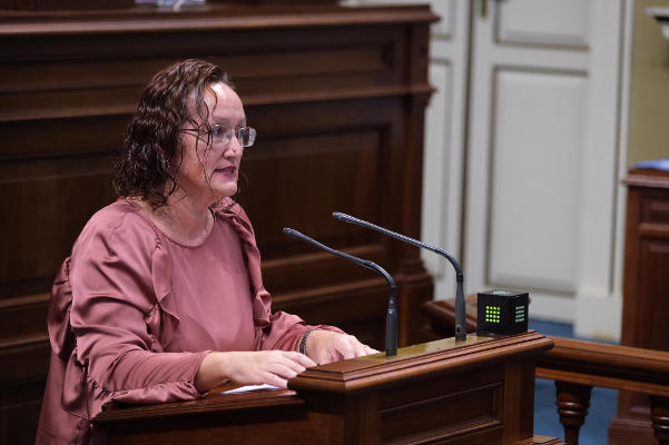 grupo socialista PINO GONZÁLEZ 2019