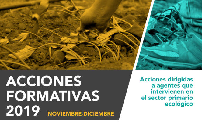 la gomera acciones formativas 2019