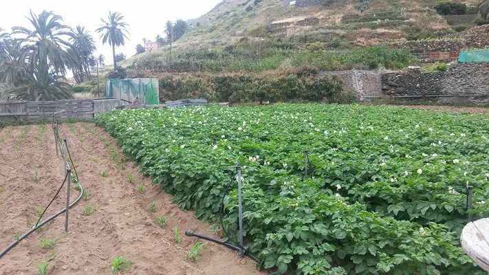 la gomera desarrollo rural 2019