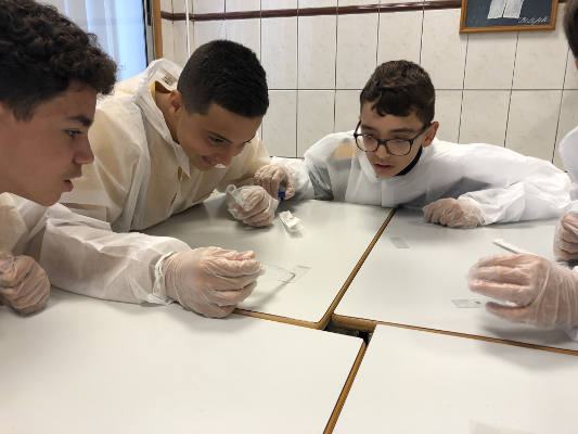 la laguna ceip lasalle ull 2019