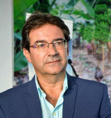 la palma José Adrián Hernández Montoya 2019
