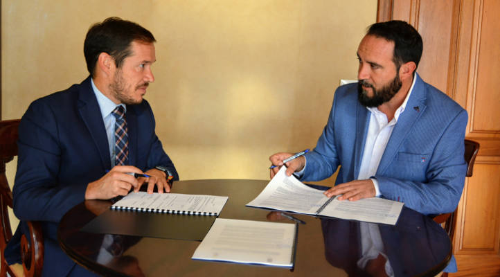 la palma mayores y dependencia 2019