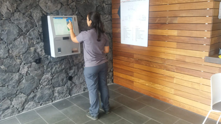 la palma turismo 2019