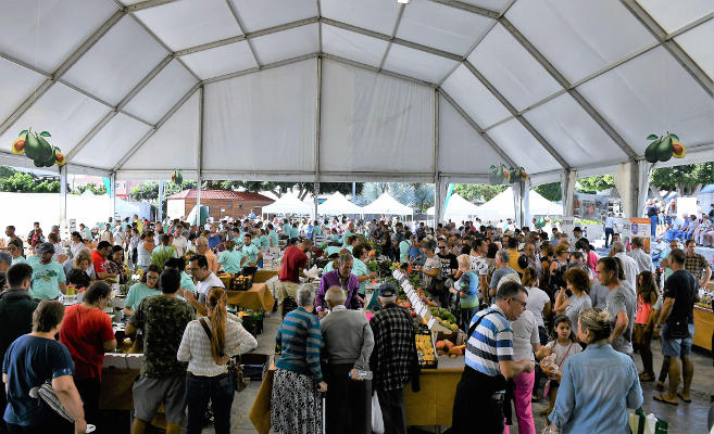 mogan feria aguacate 2019