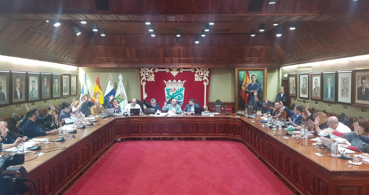 puerto cruz pleno unanimidad seguridad 2019