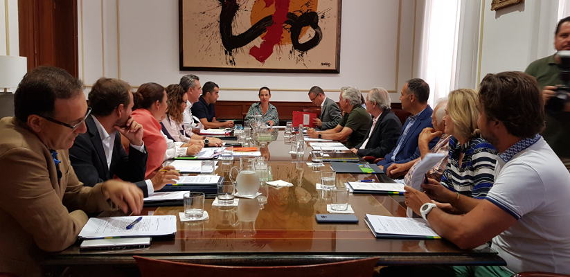 sc tenerife presupuesto fundacion aprobado 2019