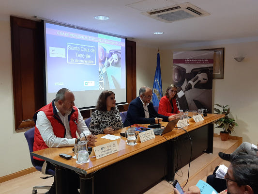 tenerife enrique arriaga Movilidad eléctrica 2019