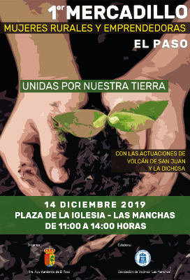 el paso 1 mercadillo mujeres 2019