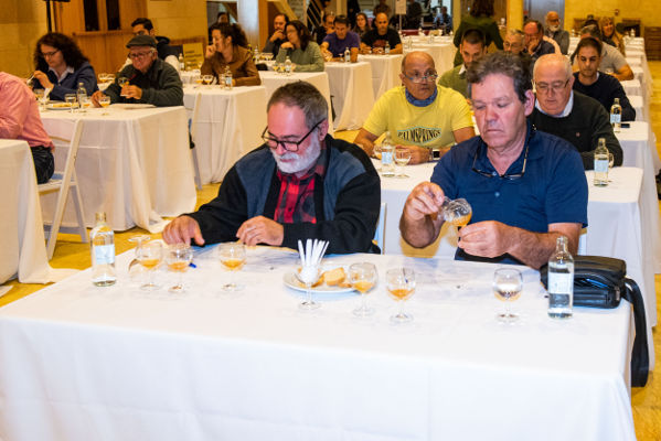 gcanaria mieles maraseo 2019
