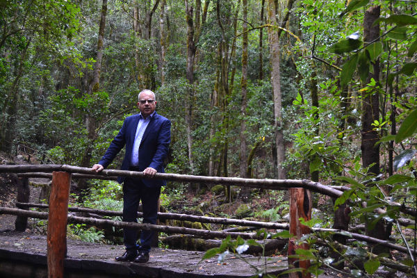la gomera Casimiro Curbelo en el Parque Nacional de Garajonay 2019