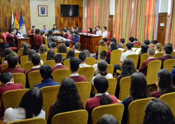 la palma Pleno de La Palmita 2019