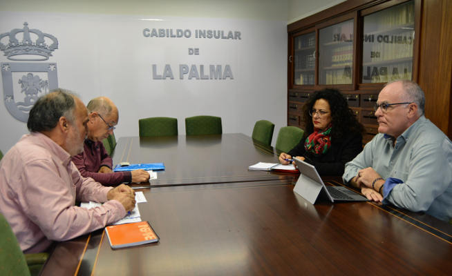 la palma modelo energetico sostenible 2019