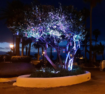 puerto cruz gracias cesar 2019