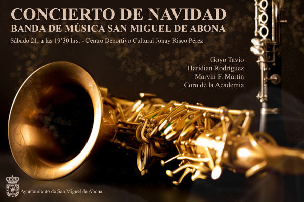 san miguel concierto navidad 2019