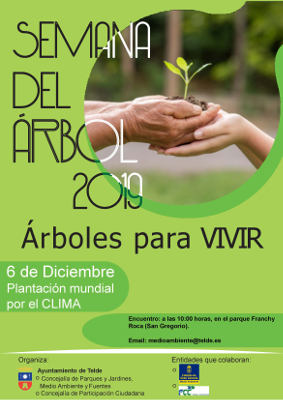 telde plantacion mundial por el clima 2019
