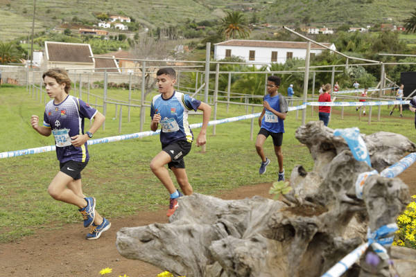 tenerife campo a traves final 2019