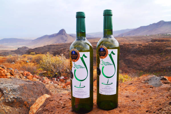 aguimes presentacion vinos 2020