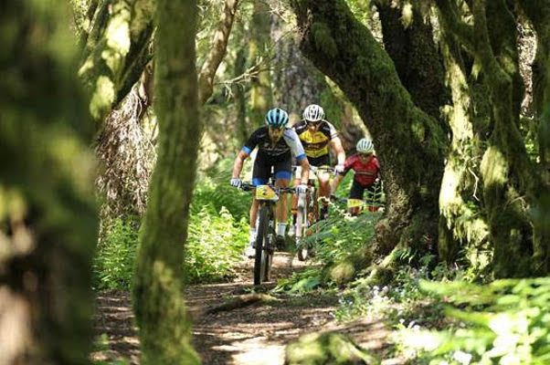 el pinar Magmabike 2020