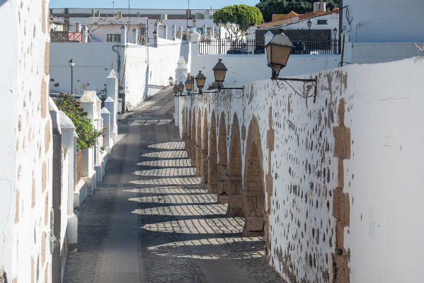 gcanaria cultura 2020