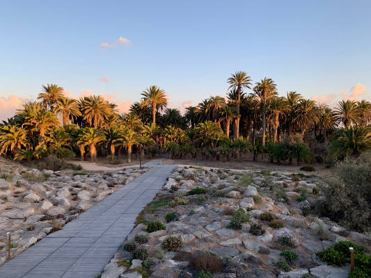 gcanaria parque tony gallardo 2020