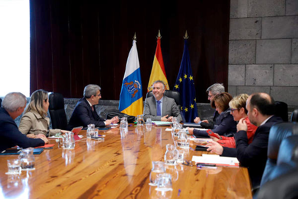 gobcan consejo 2020