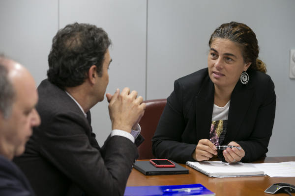 gobcan derechos sociales bono electrico 2020