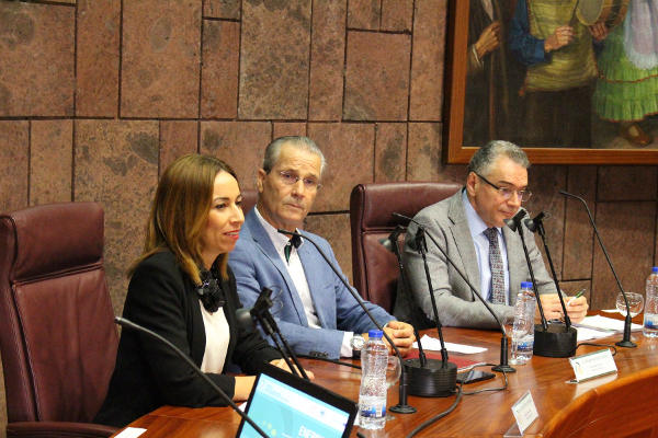 gobcan modelo energetico sostenible 2020
