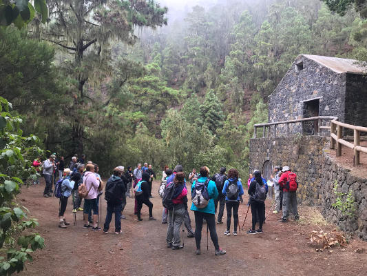 tegueste rutas guiadas 2020