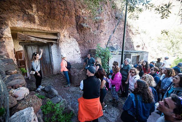 gcanaria medio ambiente 2020