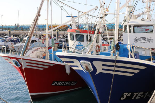 gobcan campaña pesca atun rojo 2020
