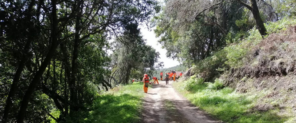 la gomera proteccion y mejora medio ambiente 2020