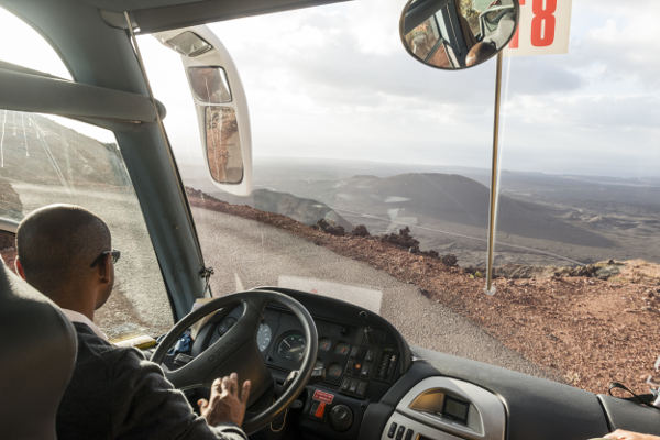 lanzarote cact Timanfaya 2020