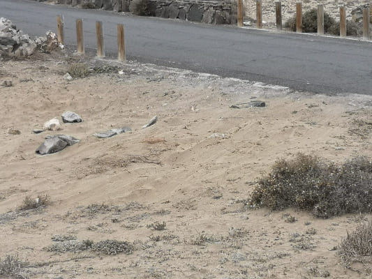 telde DAÑO EN EL ARENAL DE TUFIA 2020