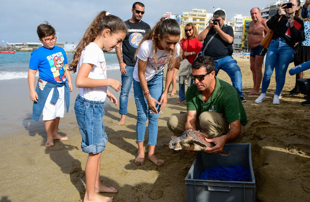 gcanaria tortugas medio ambiente 2020