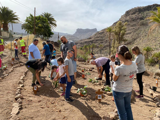 mogan plantacion flora autoctona 2020