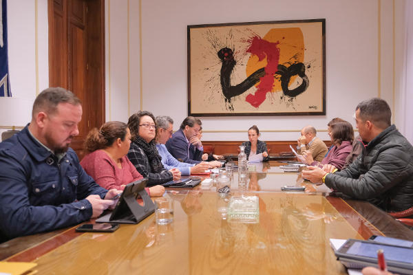 sc tenerife junta gobierno0 2020