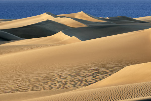 gcanaria vista de las dunas en el confinamiento 2020
