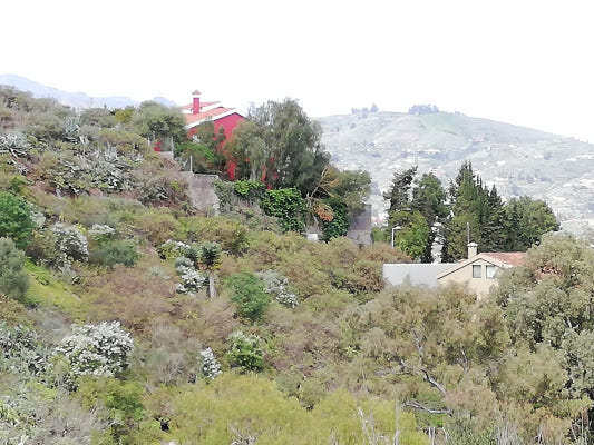 gcanaria_limpieza_viviendas_primera_residencia2020 Limpieza de malezas y residuos alrededor de viviendas 1ª residencia