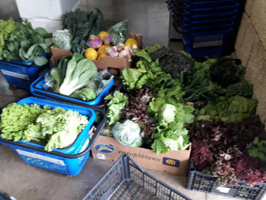 granadilla_mercado_agrivultor_donacion_2020