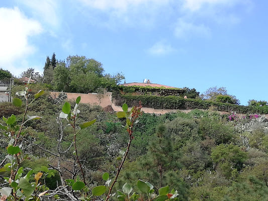 gcanaria insta cinturon seguridad de 15 mettos2020 Cinturón de seguridad de 15 metros también a las segundas residencias