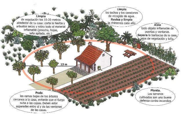 gcanaria_prevencion_incendios_2020 Prevención de incendios forestales última oportunidad para prepararse