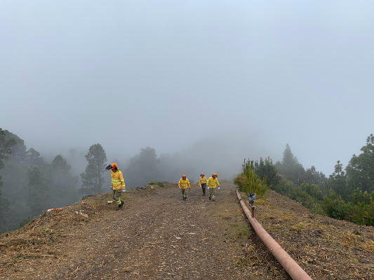 la palma limpieza cortafuegos 2020 Mantenimiento y limpieza en el cortafuegos y la pista forestal de Gallegos