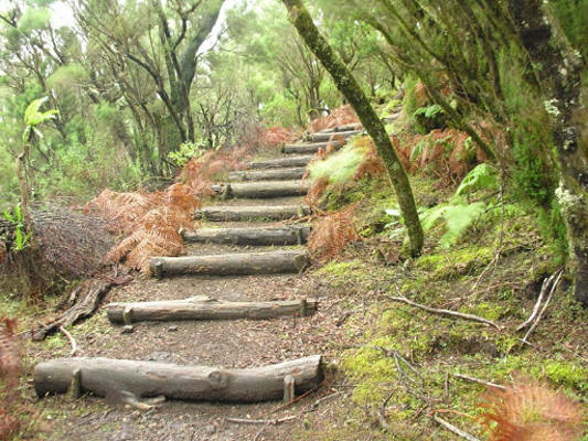 la_gomera_senderos_abiertos_2020 Reapertura la red de senderos con las limitaciones estipuladas