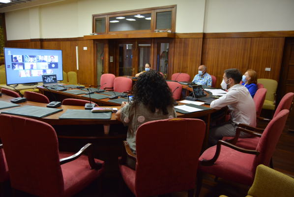 lapalma_Consejo_Social_2020 Las iniciativas del Cabildo durante la crisis de la COVID-19