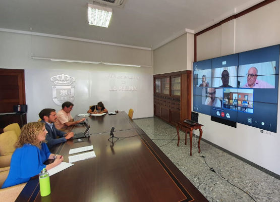 lapalma_Junta_General_Sodepal_2020 Sodepal reduce en un 80 por ciento su deuda con proveedores
