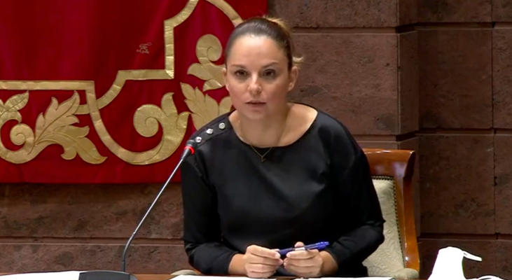 gobcan_noemi_santana_en_parlamento_2020 Derechos Sociales saca a concurso público las gerencias de fundaciones