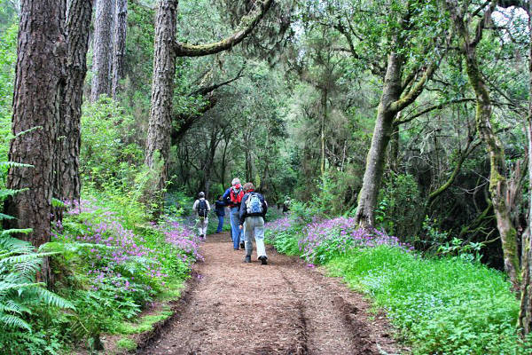 lagomera_turistas_senderismo_2020